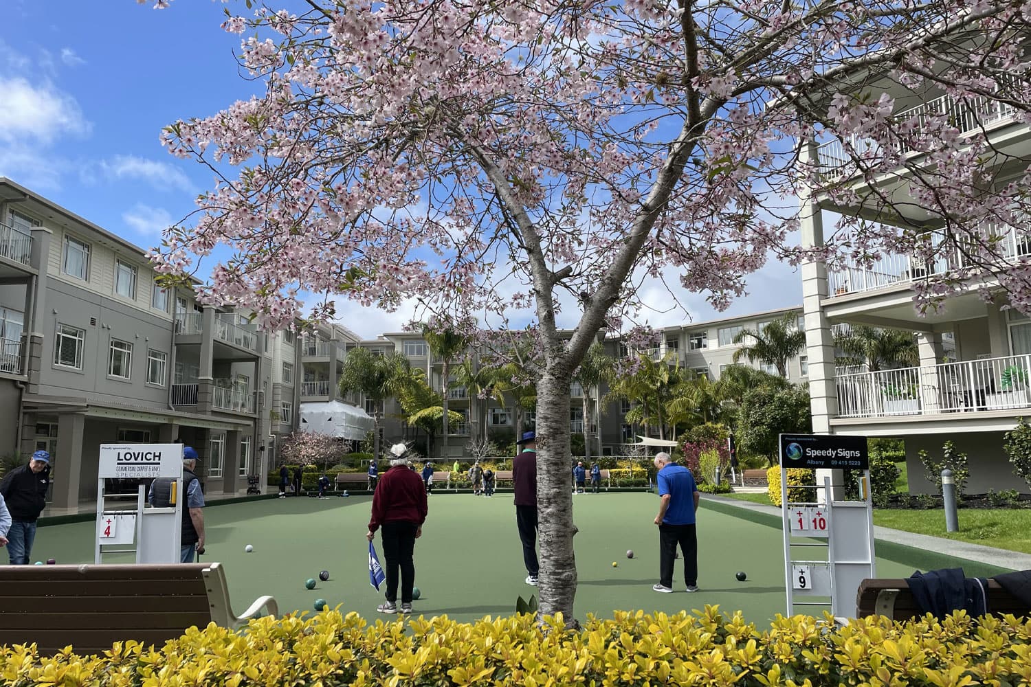 senior living bowling green