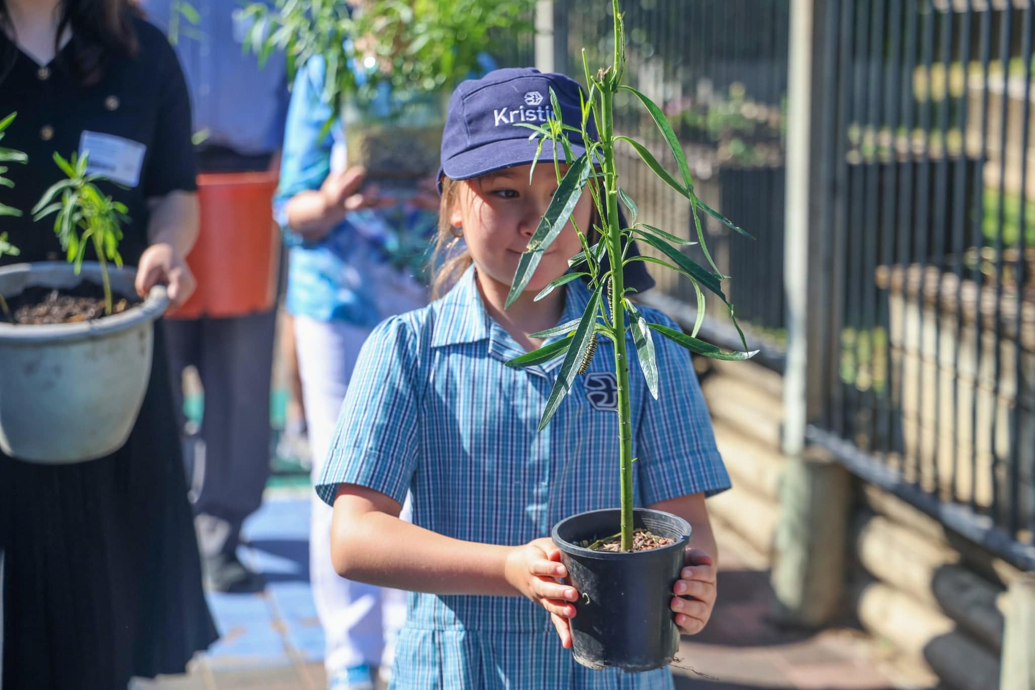 7c40f062 5286 4f5c 9df3 ec6213224e90